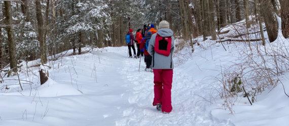 group of people snowshoeing through a snowy forest