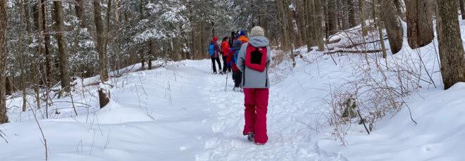 group of people snowshoeing through a snowy forest