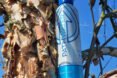 aluminum water bottle resting against a tree trunk