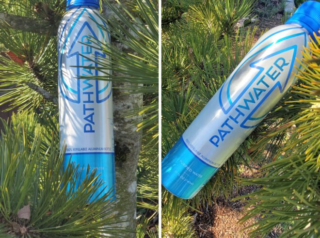 aluminum water bottle in a pine tree