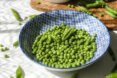 fresh shelled green peas in a blue bowl
