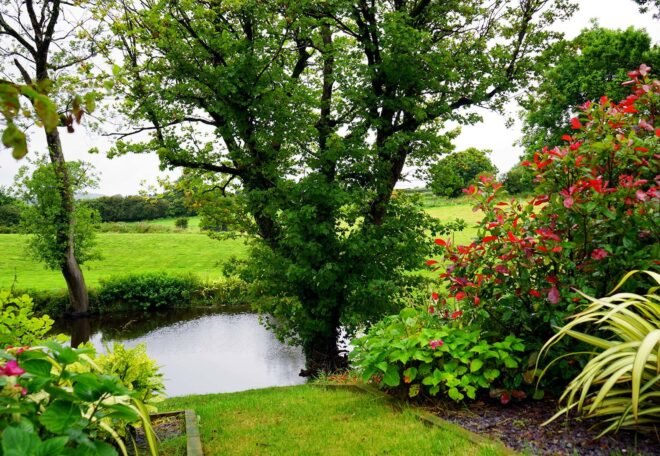 a green garden with a small pond in the middle