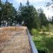 a large rooftop covered in tall brown grasses