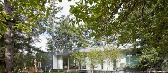 a one-story home surrounded by trees