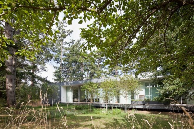 a one-story home surrounded by trees