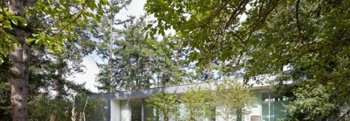 a one-story home surrounded by trees