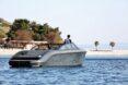 person at the helm of a speed boat