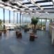 tree stump seats inside a room of glass walls and ceilings