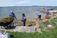 people on lake shoreline cleaning up waste and debris