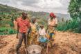 Nonprofit plants 80,000 trees