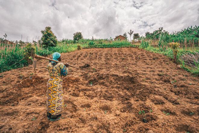a person dressed in yellow with a tool slung over their shoulder looks out over a field of dirt for planting