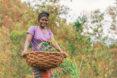 a person in a purple shit holds a basket with a green plant in it