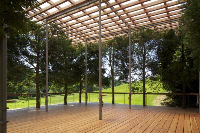 trees growing through wood deck
