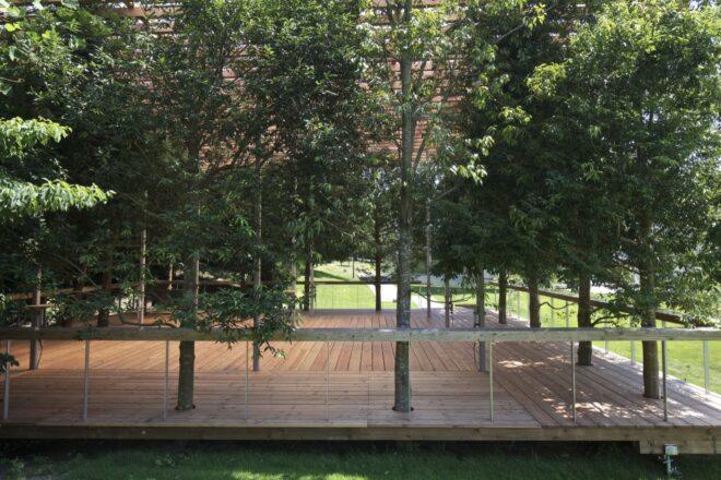 trees growing through a wooden pavilion