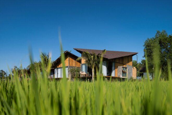 timber bungalow with slanted roof