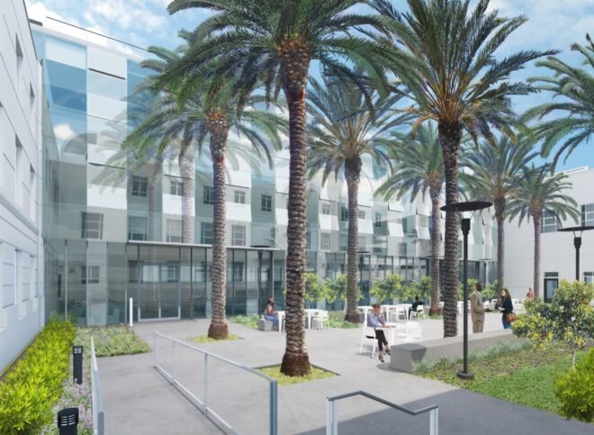 courtyard filled with palm trees between two buildings