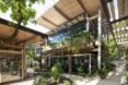 glass building surrounded by greenery