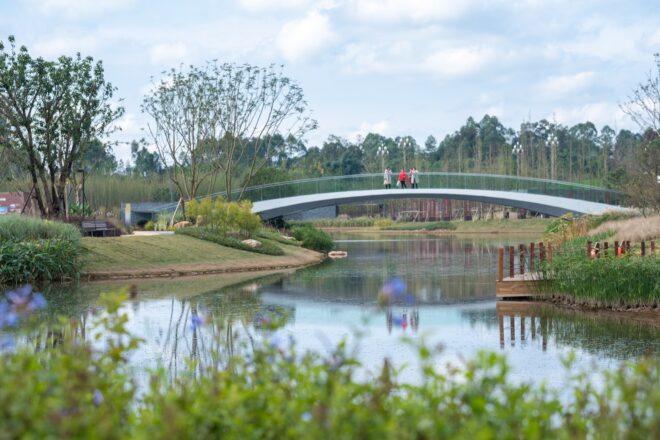 people standing on bridge over a lake