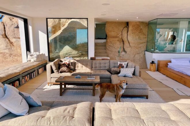 living space with two large sofas and a dog