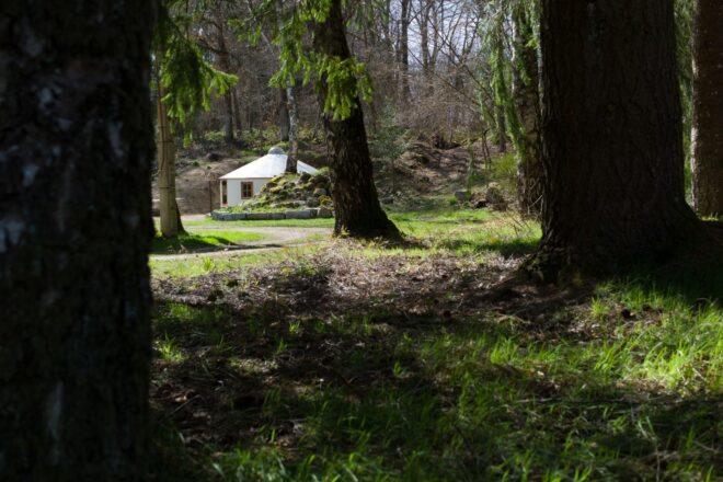 forestscape with white yurt in the background