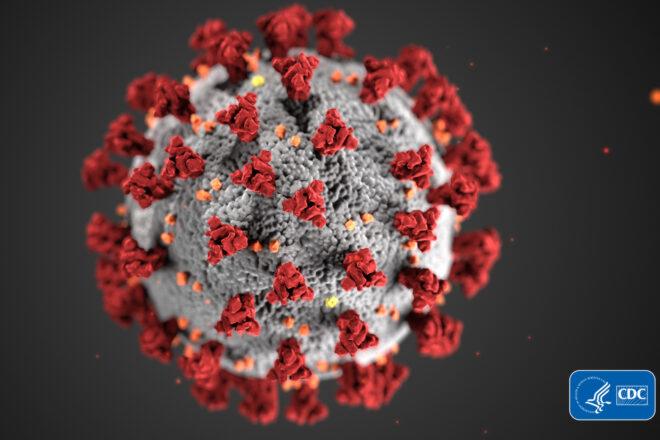 microscopic image of COVID-19 virus