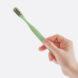 hand holding a green toothbrush
