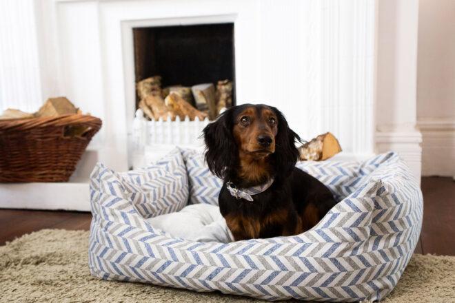 small dog in striped pet bed near white fireplace