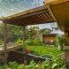 covered patio filled with plants