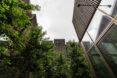 worm's eye view of building made out of timber and glass