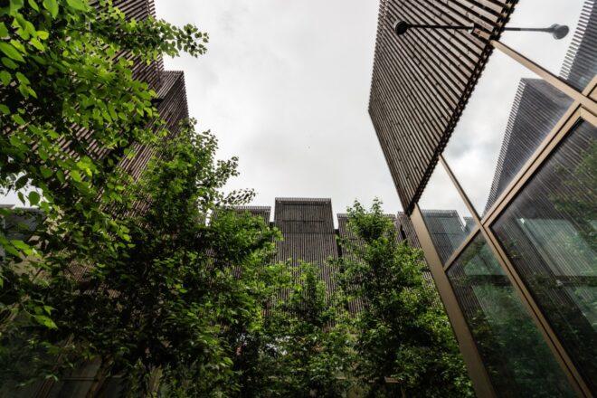 worm's eye view of building made out of timber and glass