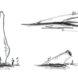 sketch of individual wind turbine blades