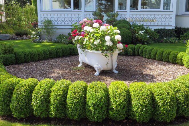 old bathtub full of flowers