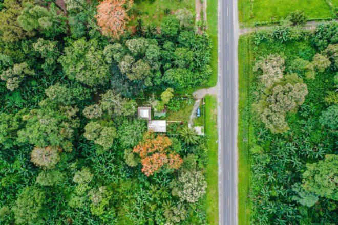 aerial image of small lodge surrounded by vegetation
