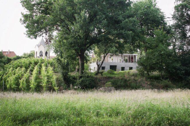 trees and grass nearly concealing a concrete home