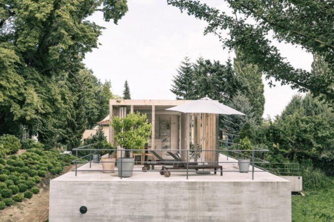 patio furniture and potted plant on a rooftop pavilion