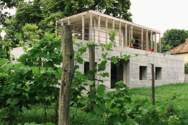 trees surrounding a concrete home