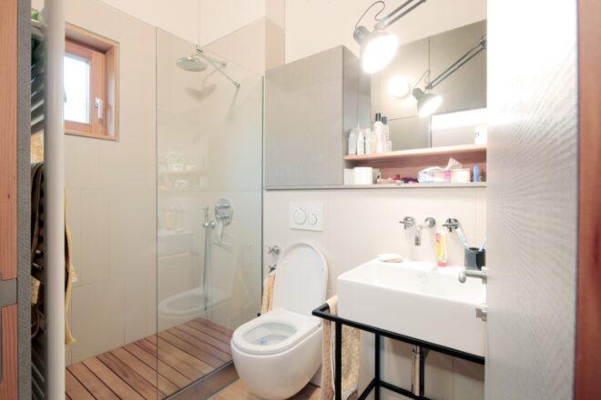 white toilet and sink near stand-up shower with glass wall