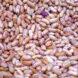 closeup of dry tan and purple colored beans