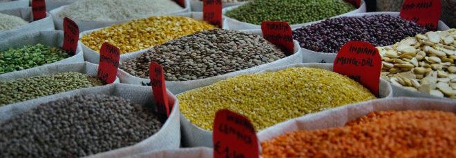 a store display with several containers full of various beans