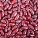 closeup of red kidney beans
