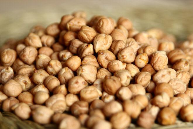a pile of dry garbanzo beans