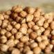 a pile of dry garbanzo beans