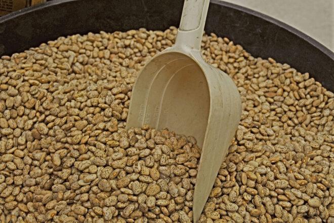 a scoop in a container of pinto beans