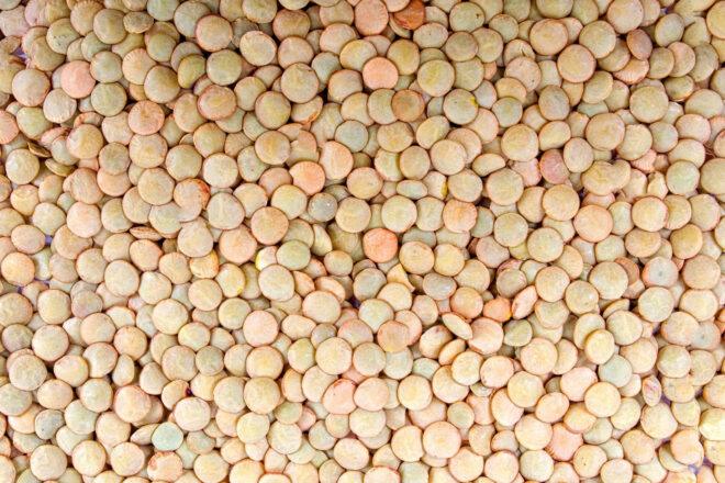 closeup of pale, tan colored lentils
