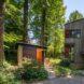 small wooden shed surrounding by forest