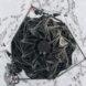 aerial rendering of solar-powered pod in snowy landscape
