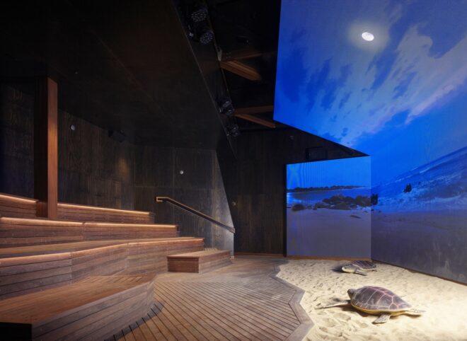 immersive theater with wood seats, a massive blue screen and sand directly under the screen