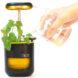 a black and yellow PICO pod having water added to it. a green plant grows in the pod