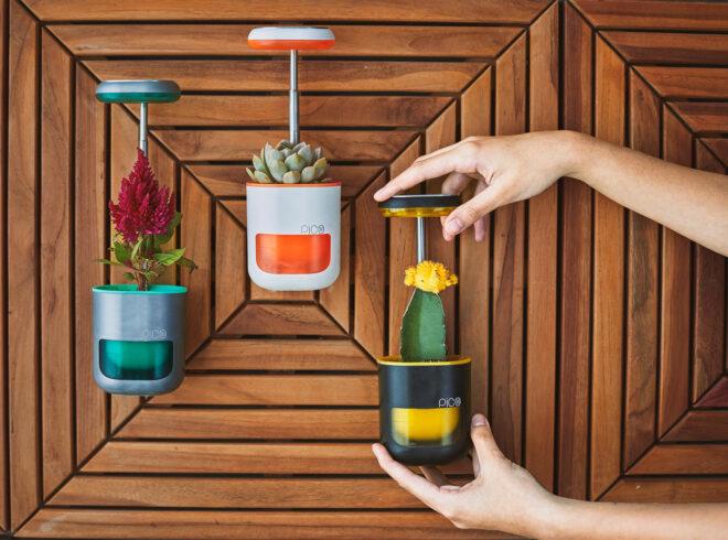three PICO pods mounted on a brown wall. each holds a different plant