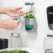 a wall mounted blue and silver PICO of with a green plant growing in it. a hand with scissors cuts off part of the plant